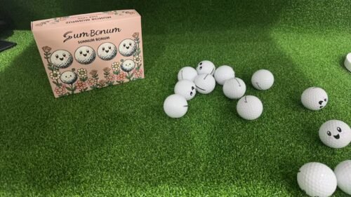 SUMBONUM GOLF CS250 Two-layer polyurethane golf ball photo review